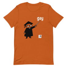 Load image into Gallery viewer, Say Gay gender neutral t-shirt
